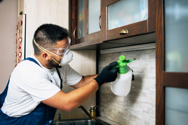Best Pest Prevention Services  in Delavan, IL