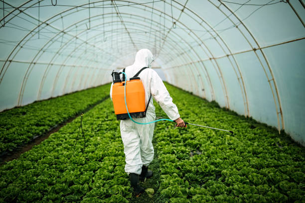 Professional Pest Control in Delavan, IL
