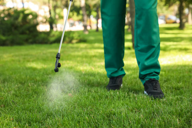 Best Rodent Control Near Me  in Delavan, IL