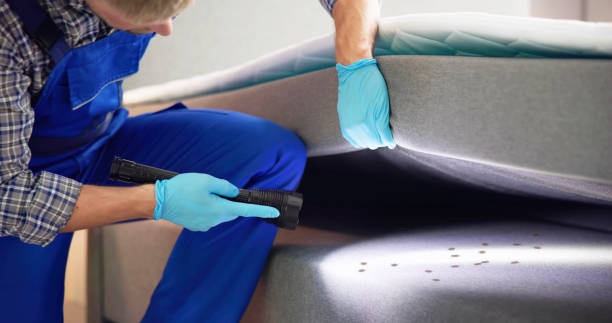 Best Ant Control Services  in Delavan, IL