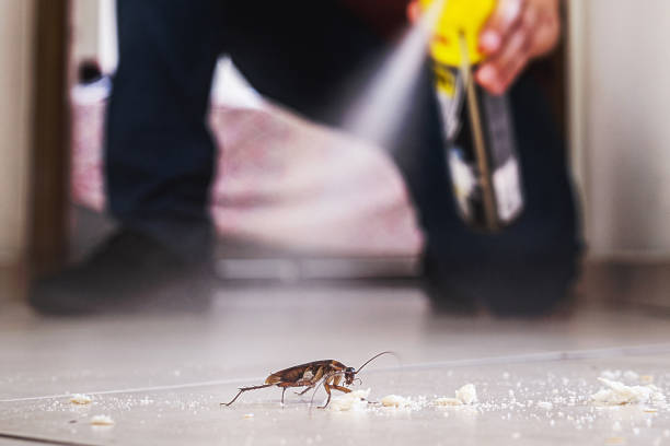 Best Commercial Pest Control Services  in Delavan, IL