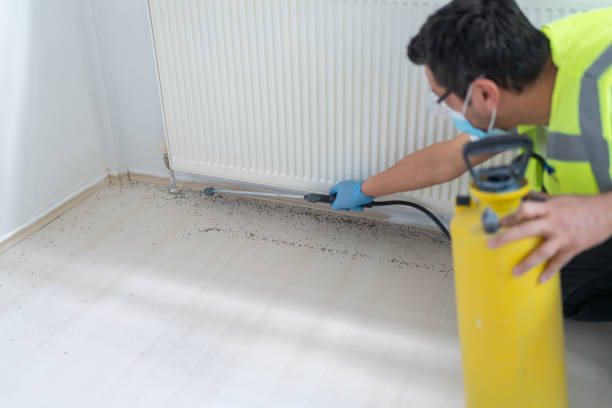 Best Ant Control Services  in Delavan, IL